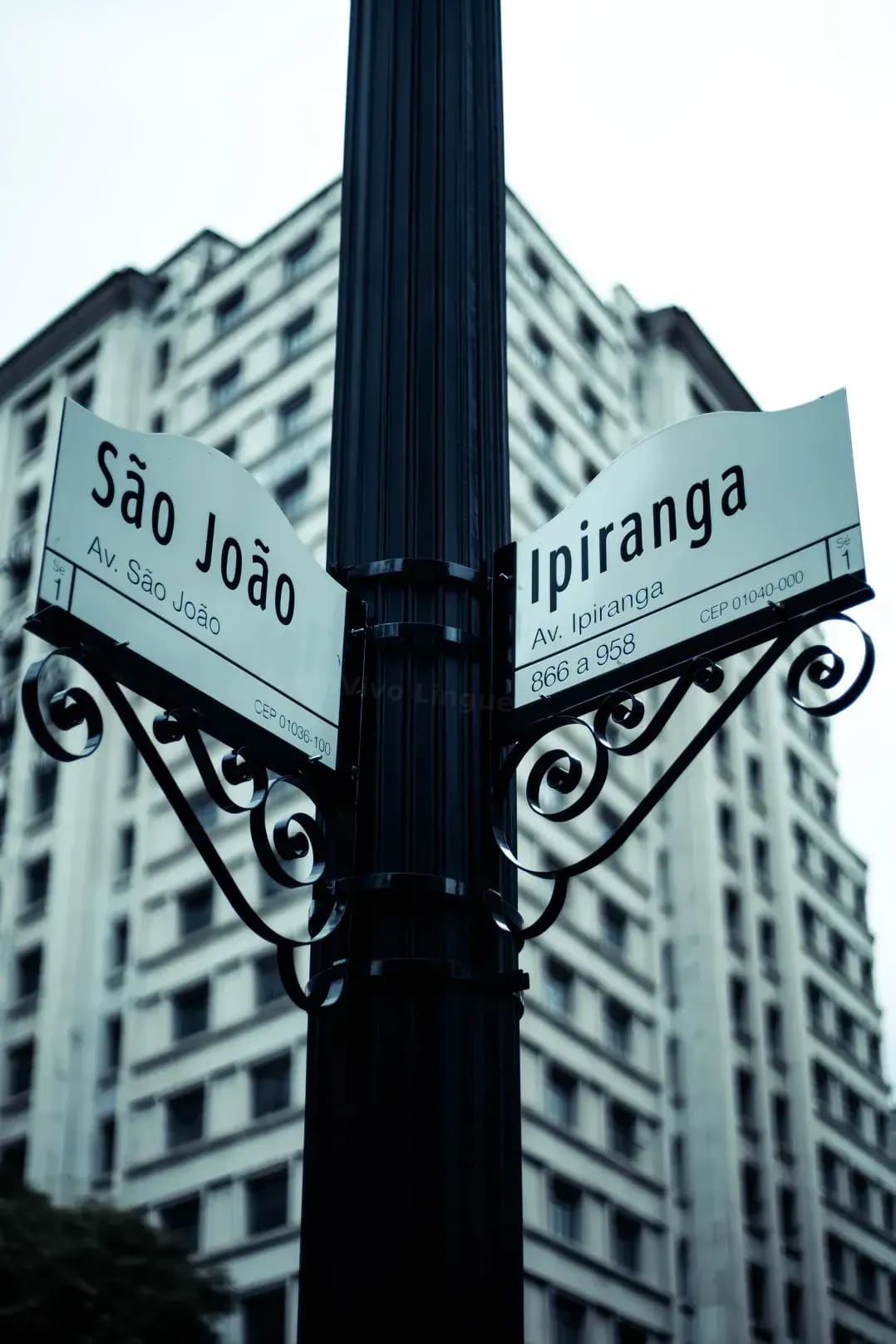 PortoVivo Lingue