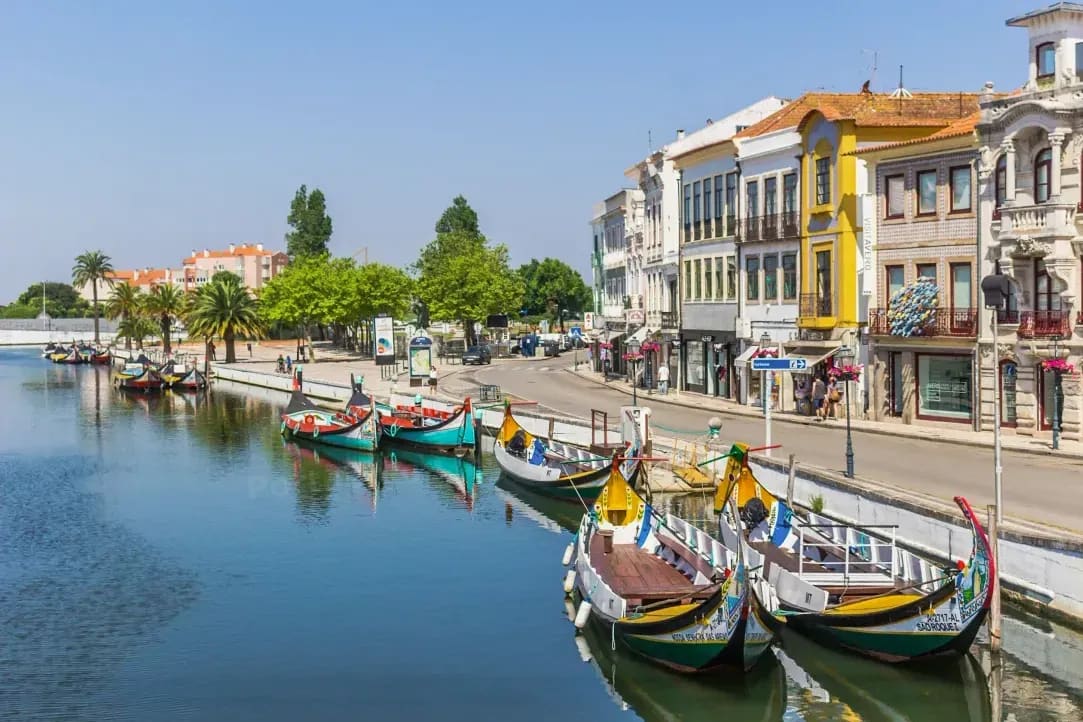 PortoVivo Lingue 2