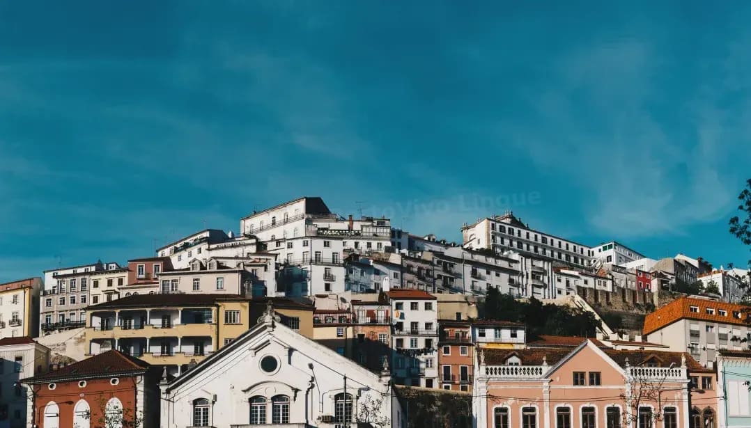 PortoVivo Lingue 9