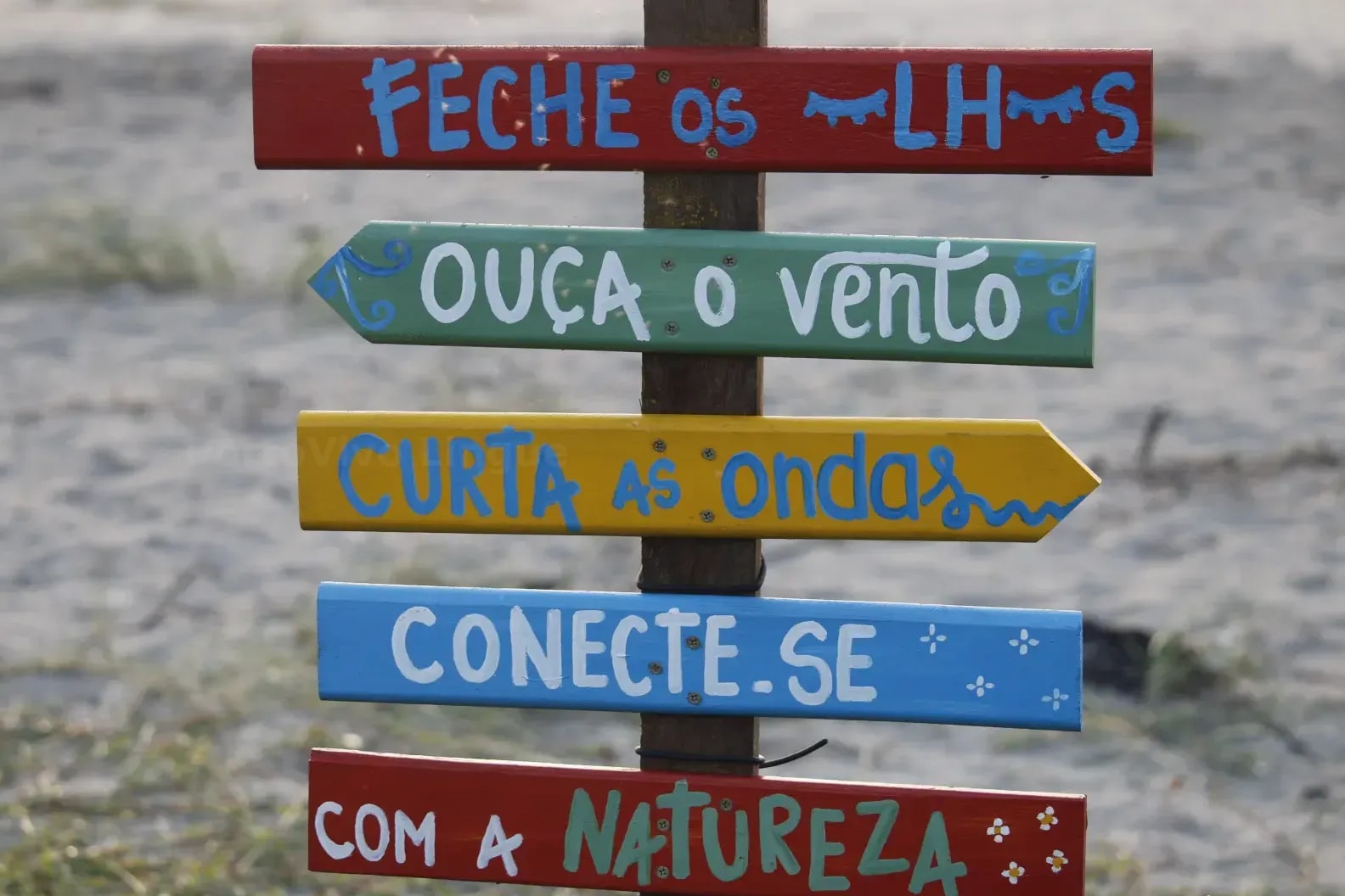 PortoVivo Lingue